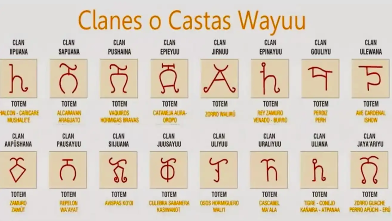 Screenshot of a session led by IPSE and Universidad de la Guajira